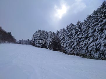 アソビュー！ポイントに投稿された画像（2025/2/8）