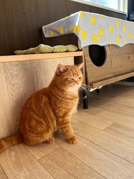 つくばわんわんランドに投稿された画像（2025/2/8）