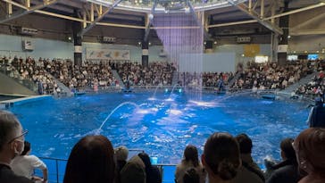 マクセル アクアパーク品川に投稿された画像（2025/2/8）