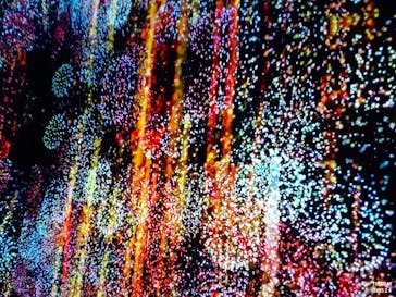 蜷川実花展 with EiM：彼岸の光、此岸の影 NINAGAWA Mika with EiM：Lights of the beyond, Shadows of this worldに投稿された画像（2025/2/8）