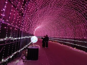 NESTA RESORT KOBE（ネスタリゾート神戸）に投稿された画像（2025/2/8）