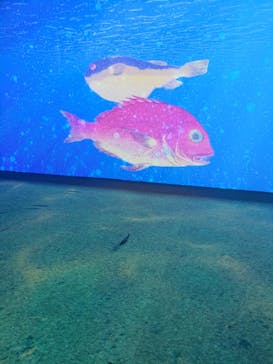 動き出す浮世絵展 TOKYOに投稿された画像（2025/2/8）