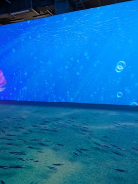 動き出す浮世絵展 TOKYOに投稿された画像（2025/2/8）