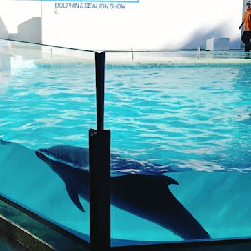 しながわ水族館に投稿された画像（2025/2/8）