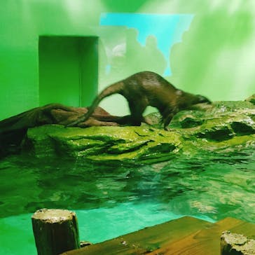 しながわ水族館に投稿された画像（2025/2/8）