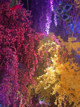 蜷川実花展 with EiM：彼岸の光、此岸の影 NINAGAWA Mika with EiM：Lights of the beyond, Shadows of this worldに投稿された画像（2025/2/8）