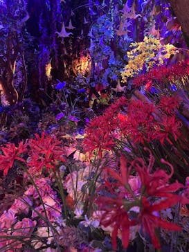 蜷川実花展 with EiM：彼岸の光、此岸の影 NINAGAWA Mika with EiM：Lights of the beyond, Shadows of this worldに投稿された画像（2025/2/8）