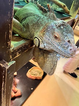 Moff animal cafe イオンモール幕張新都心店に投稿された画像（2025/2/8）