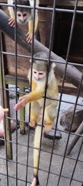 伊豆シャボテン動物公園に投稿された画像（2025/2/8）