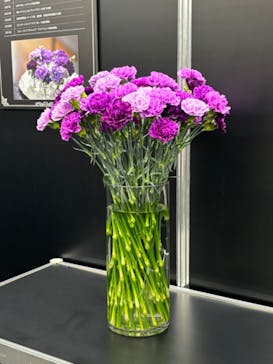 世界らん展2026-花と緑の祭典-に投稿された画像（2025/2/8）