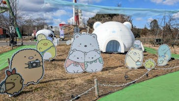 さがみ湖MORI MORIに投稿された画像（2025/2/8）