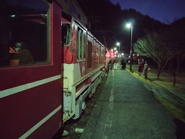 大井川鐵道株式会社に投稿された画像（2025/2/8）