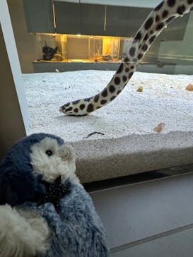 AOAO SAPPOROに投稿された画像（2025/2/8）