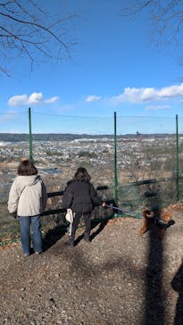 わんダフルネイチャーヴィレッジに投稿された画像（2025/2/8）