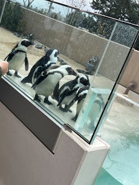 マリンワールド海の中道に投稿された画像（2025/2/8）