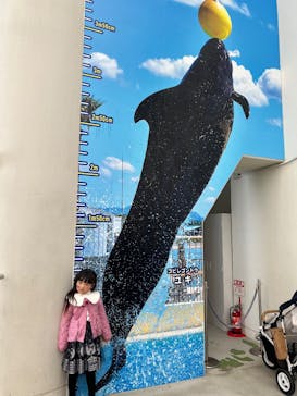 マリンワールド海の中道に投稿された画像（2025/2/8）