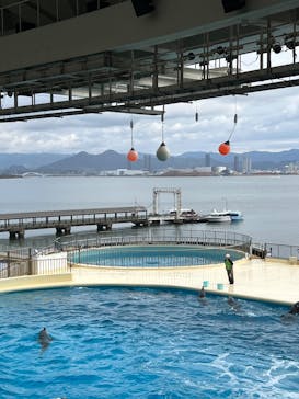 マリンワールド海の中道に投稿された画像（2025/2/8）