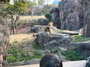 天王寺動物園に投稿された画像（2025/2/8）