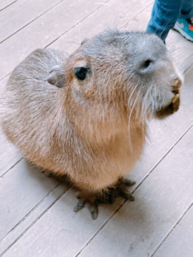 カワスイ 川崎⽔族館に投稿された画像（2025/2/8）