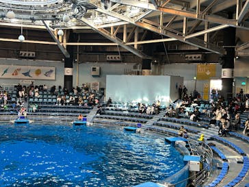 マクセル アクアパーク品川に投稿された画像（2025/2/9）