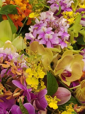 世界らん展2026-花と緑の祭典-に投稿された画像（2025/2/9）