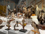 特別展「鳥 ～ゲノム解析が解き明かす新しい鳥類の系統～」国立科学博物館に投稿された画像（2025/2/9）