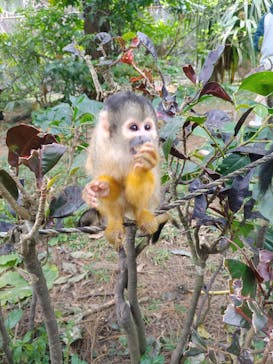 All Blue（オールブルー）に投稿された画像（2025/2/9）