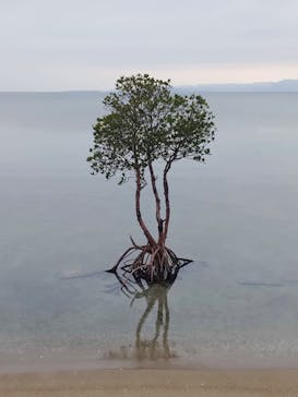 All Blue（オールブルー）に投稿された画像（2025/2/9）