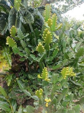 All Blue（オールブルー）に投稿された画像（2025/2/9）