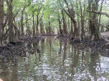 All Blue（オールブルー）に投稿された画像（2025/2/9）