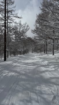 湯の丸スキー場に投稿された画像（2025/2/9）