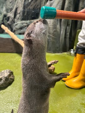 竹島水族館に投稿された画像（2025/2/9）