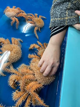 竹島水族館に投稿された画像（2025/2/9）
