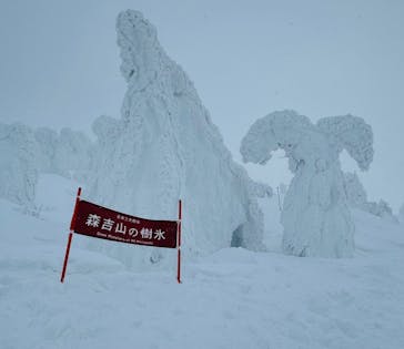 阿仁スキー場に投稿された画像（2025/2/9）