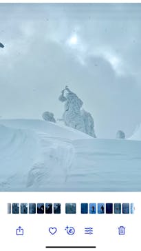 阿仁スキー場に投稿された画像（2025/2/9）