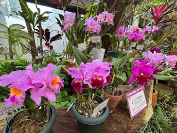 沖縄美ら海水族館×熱帯ドリームセンターに投稿された画像（2025/2/9）