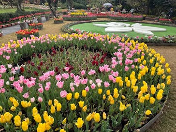 沖縄美ら海水族館×熱帯ドリームセンターに投稿された画像（2025/2/9）