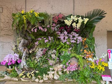 沖縄美ら海水族館×熱帯ドリームセンターに投稿された画像（2025/2/9）