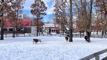 ノーザンホースパークに投稿された画像（2025/2/9）