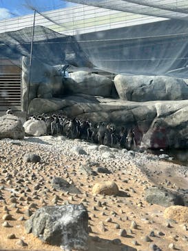 天王寺動物園に投稿された画像（2025/2/9）