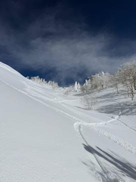 田沢湖アウトドアツアーに投稿された画像（2025/2/9）
