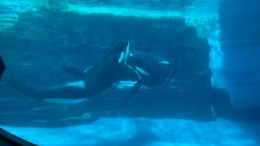 名古屋港水族館に投稿された画像（2025/2/9）