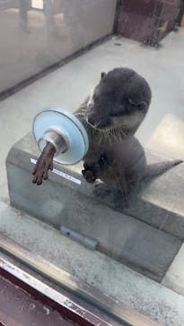 横浜・八景島シーパラダイスに投稿された画像（2025/2/9）