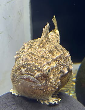 横浜・八景島シーパラダイスに投稿された画像（2025/2/9）