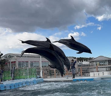 横浜・八景島シーパラダイスに投稿された画像（2025/2/9）