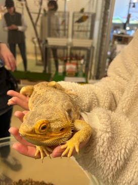 Moff animal cafe イオンモール幕張新都心店に投稿された画像（2025/2/9）