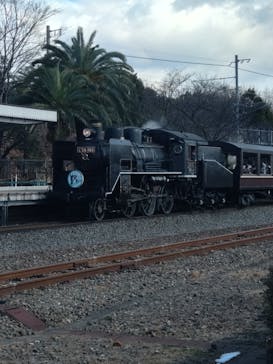 京都鉄道博物館_運転シミュレーターに投稿された画像（2025/2/9）