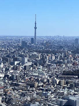 サンシャイン60展望台に投稿された画像（2025/2/9）