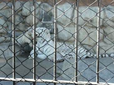 東武動物公園に投稿された画像（2025/2/9）