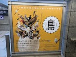 特別展「鳥 ～ゲノム解析が解き明かす新しい鳥類の系統～」国立科学博物館に投稿された画像（2025/2/9）